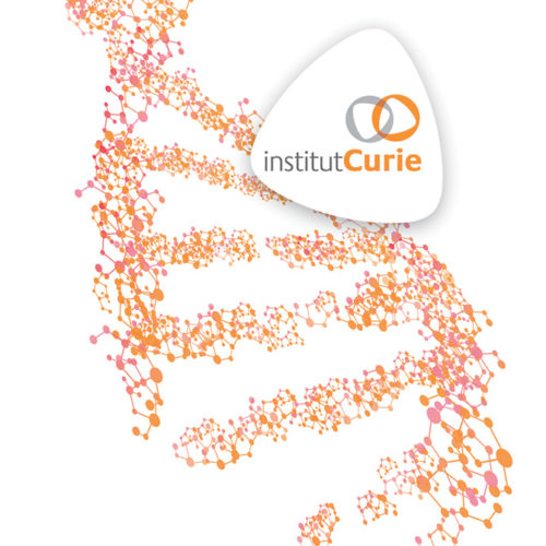 Institut Curie OctobreRose 18